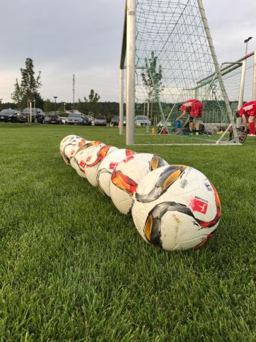 Einblicke ins Training